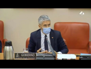 Comparecencia ministro interior en Congreso diputados