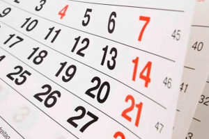 Solicitud ampliaci&oacute;n disfrute d&iacute;as 2018