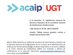 Tallaje nuevos guantes de cacheo