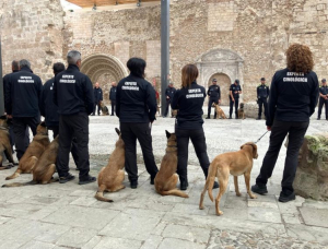 Instrucci&oacute;n 7/2024: Unidades caninas en II.PP